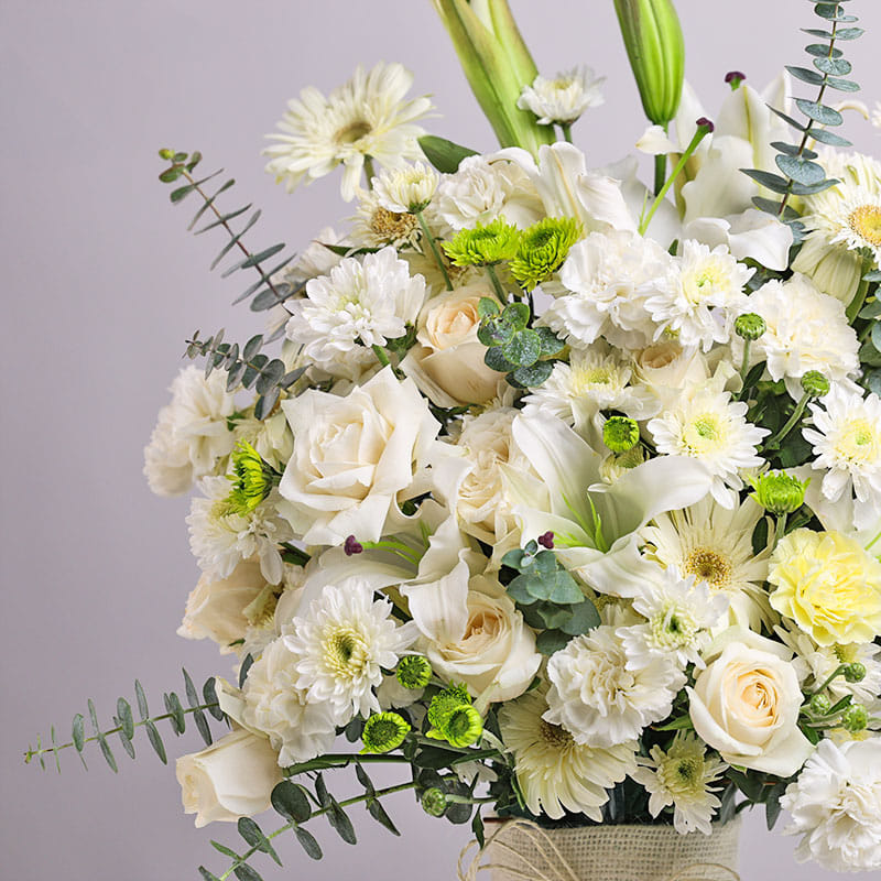 White Bloom Luxe