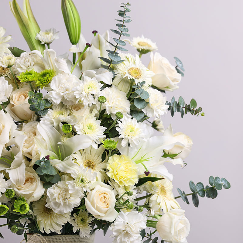 White Bloom Luxe