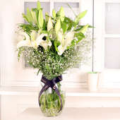 White Lily Breath - Arrangement of 7 White Lilies in Glass Vase