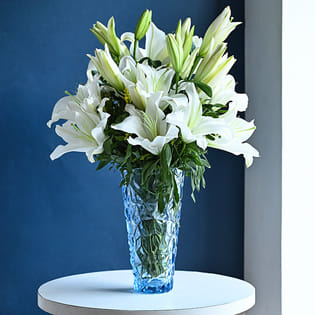 White Lily Radiance