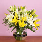 White N Bright Yellow Lilies Bunch - Arrangement of 8 White and Yellow Lilies in a Glass Vase
