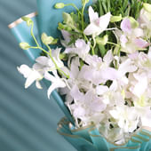 White Orchids In Seafoam Aura
