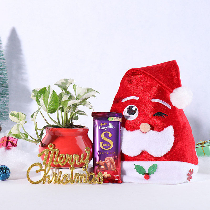 White Pothos In Red Matki Pot With Chocolate N Santa Cap