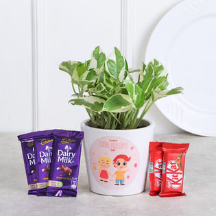 White Pothos N Choco Combo
