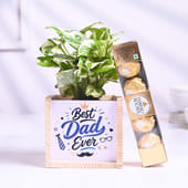 White Pothos Plant In Best Dad Pot With Chocolates