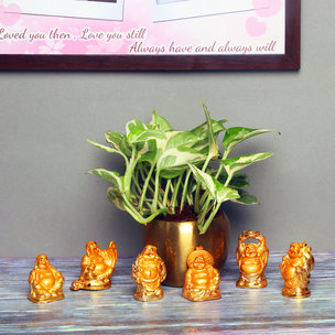 White Pothos Plant with Buddha Statues