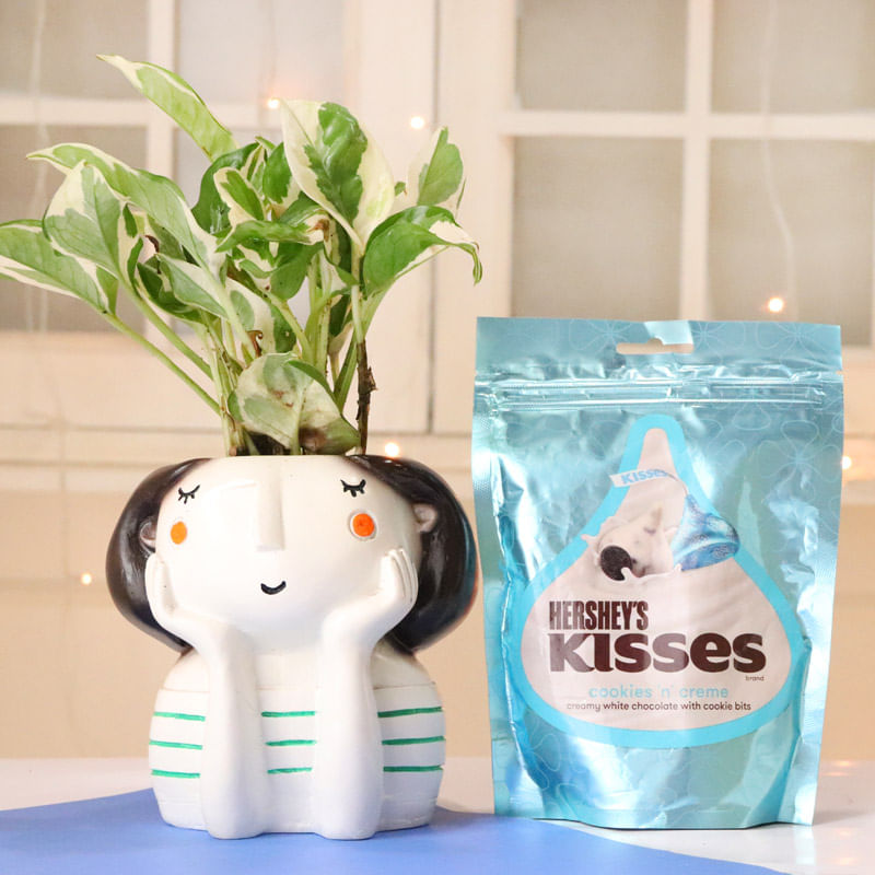 Pothos Money Plant With Hersheys Kisses Chocolate