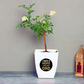 White Rose Plant in White Vase for Dad
