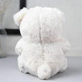 White Teddy With Heart - Valentine gift