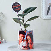 Wishful Vday Plant N Vase Combo