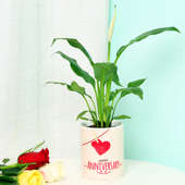 Buy Peace Lily Plant in Personalised Anniversary Mug Online