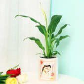 Send Peace Lily Plant in Personalised Anniversary Mug Online