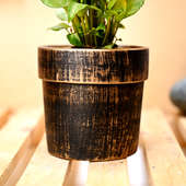 Wood Vase Syngonium Plant - Foliage Plant Indoors in Wooden Geomatrical Vase