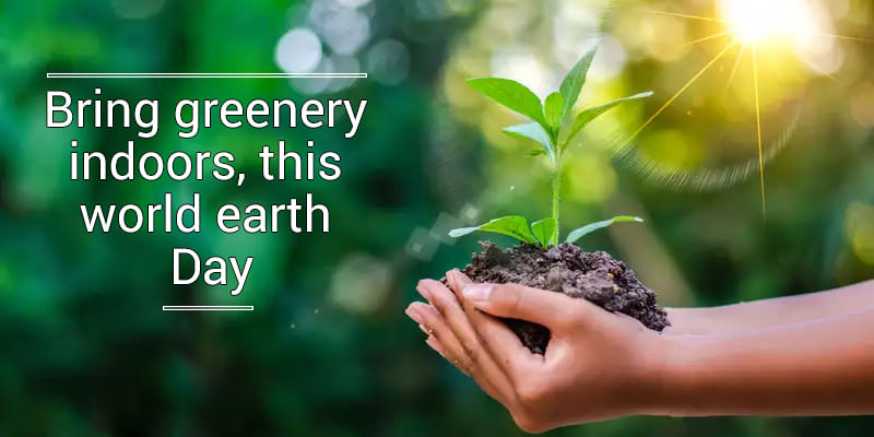 Bring Greenery This World Earth Day