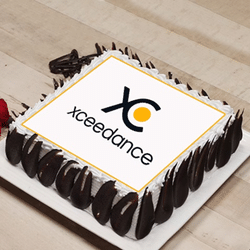 Xceedance New Cake Product