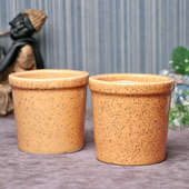 Buy Yellow Ceramic Pot Duo Online