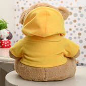 Cute Yellow Hoodie Teddy Bear