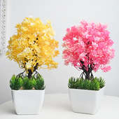 Buy Yellow N Pink Bonsai Combo Online