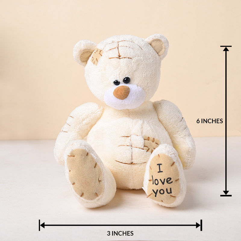 Teddy Bear Plush Toy