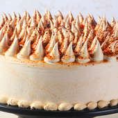 Zoom view of Tiramisu Cake