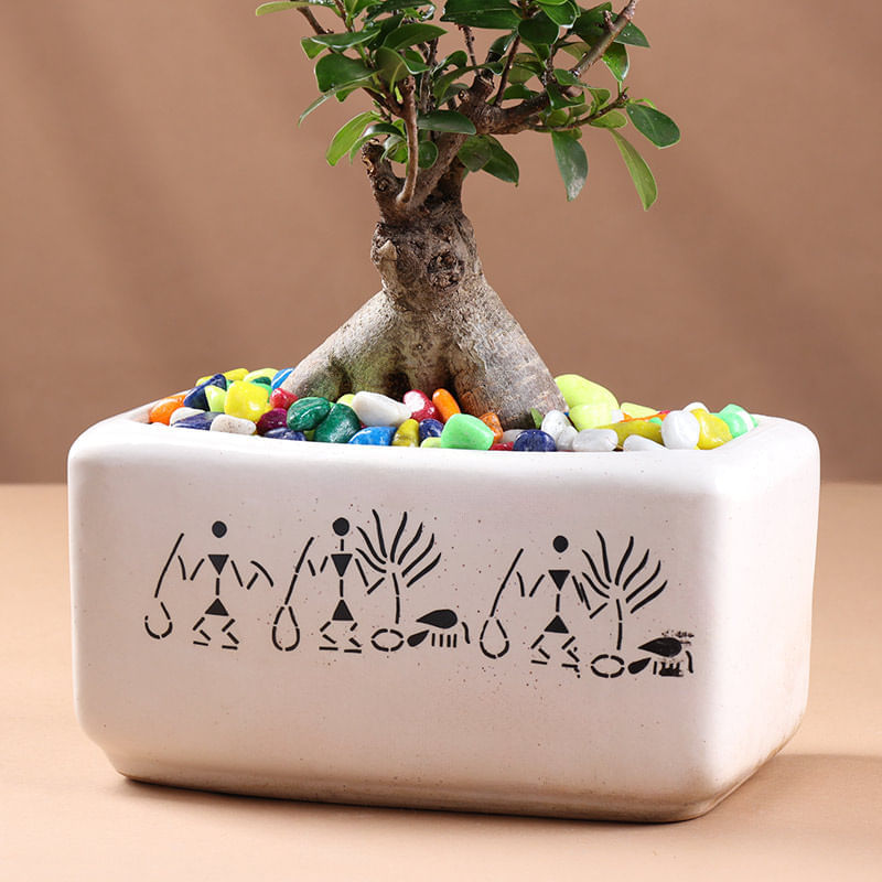 Product Image Video